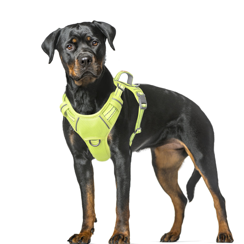 Air No Pull Dog Harness