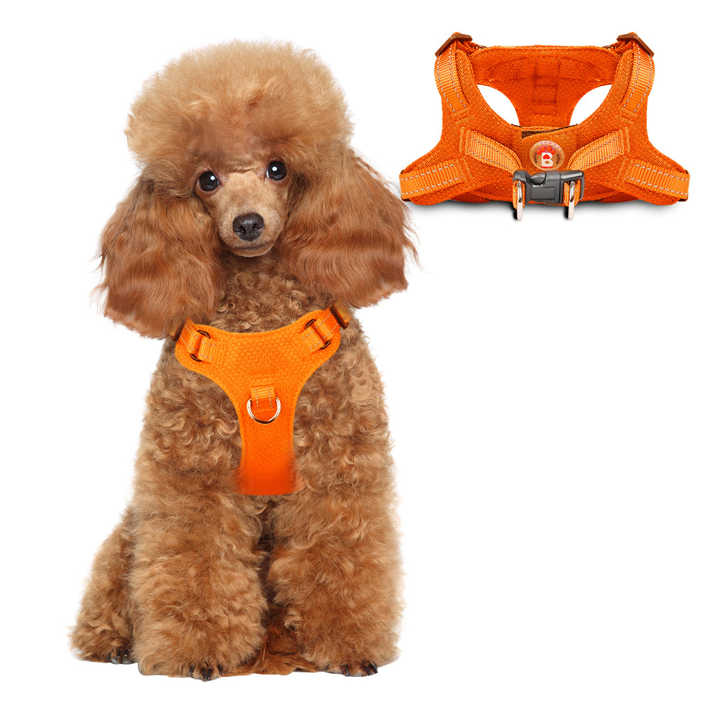 Step-in Mesh Dog Harness