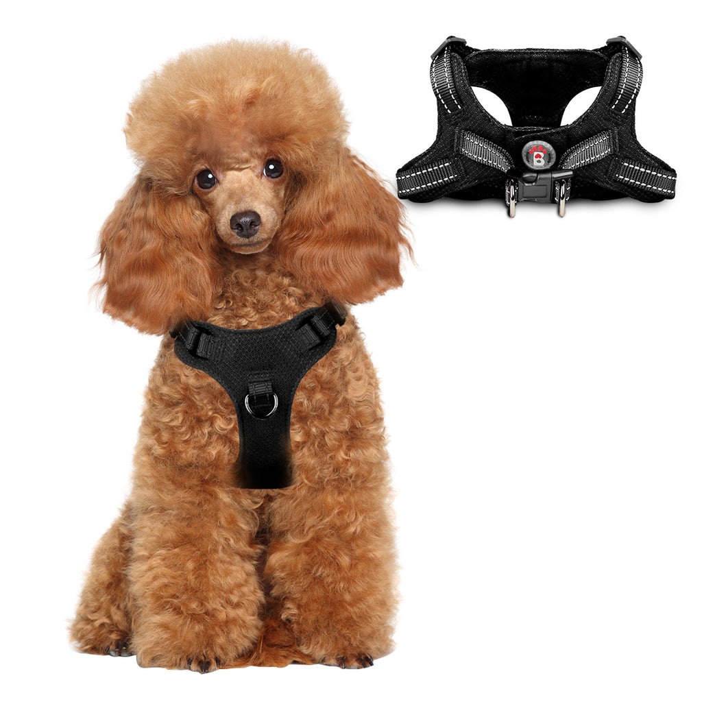 Step-in Mesh Dog Harness