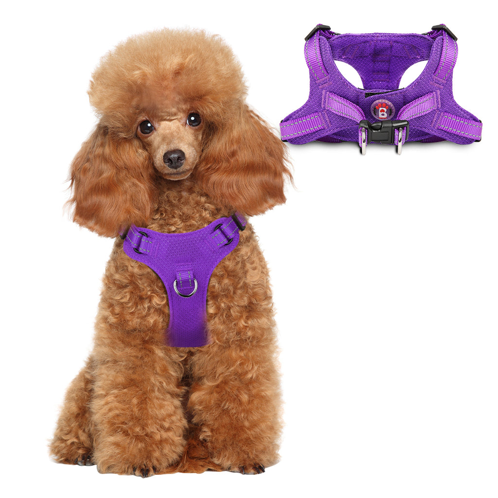 Step-in Mesh Dog Harness