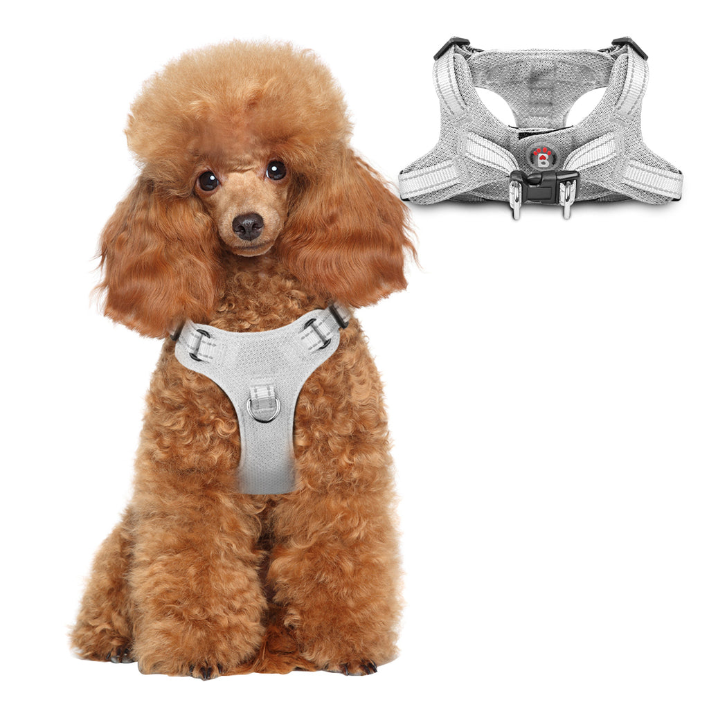 Step-in Mesh Dog Harness