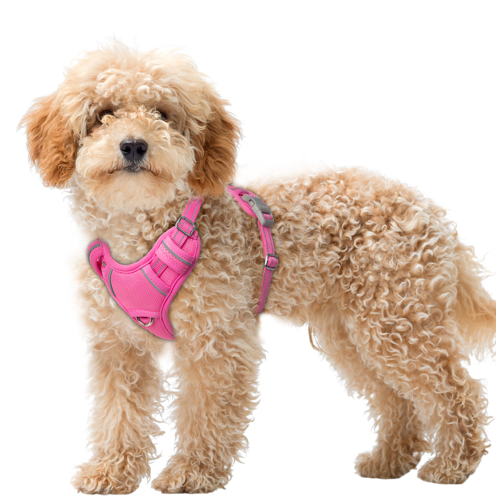 Air No Pull Dog Harness