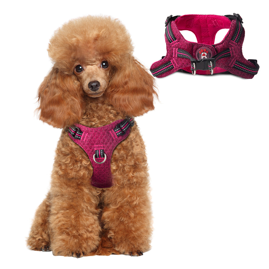 Step-in Mesh Dog Harness