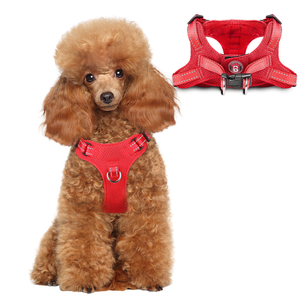 Step-in Mesh Dog Harness