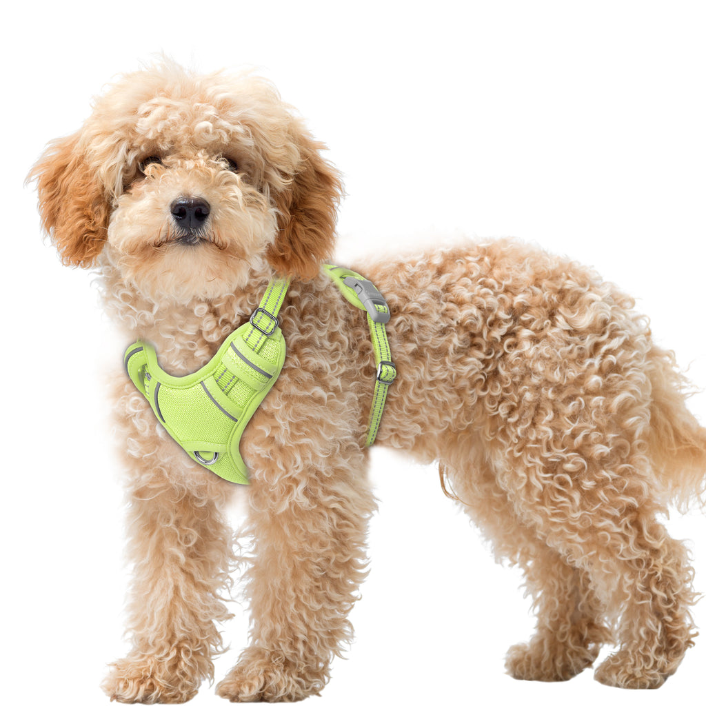 Air No Pull Dog Harness