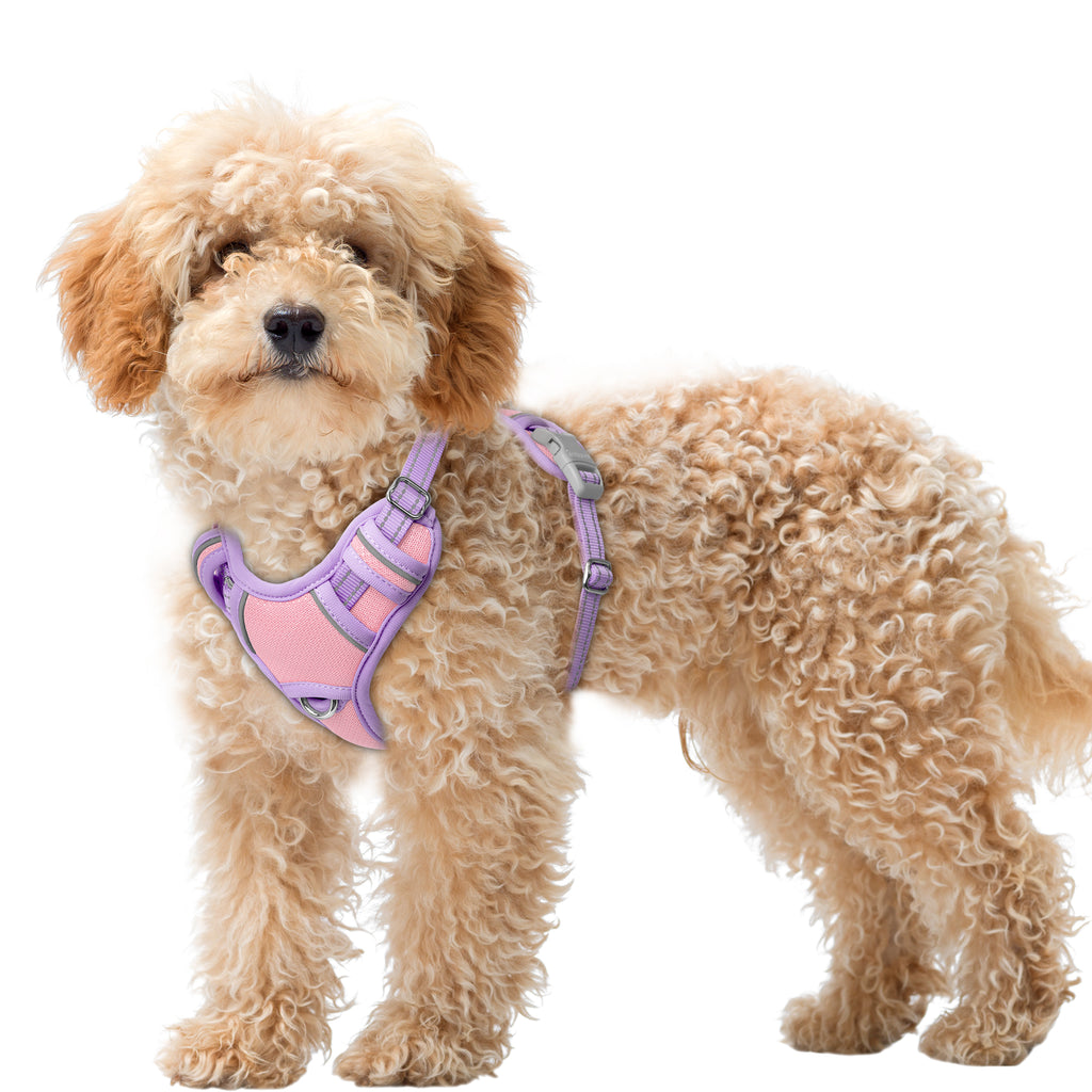 Air No Pull Dog Harness