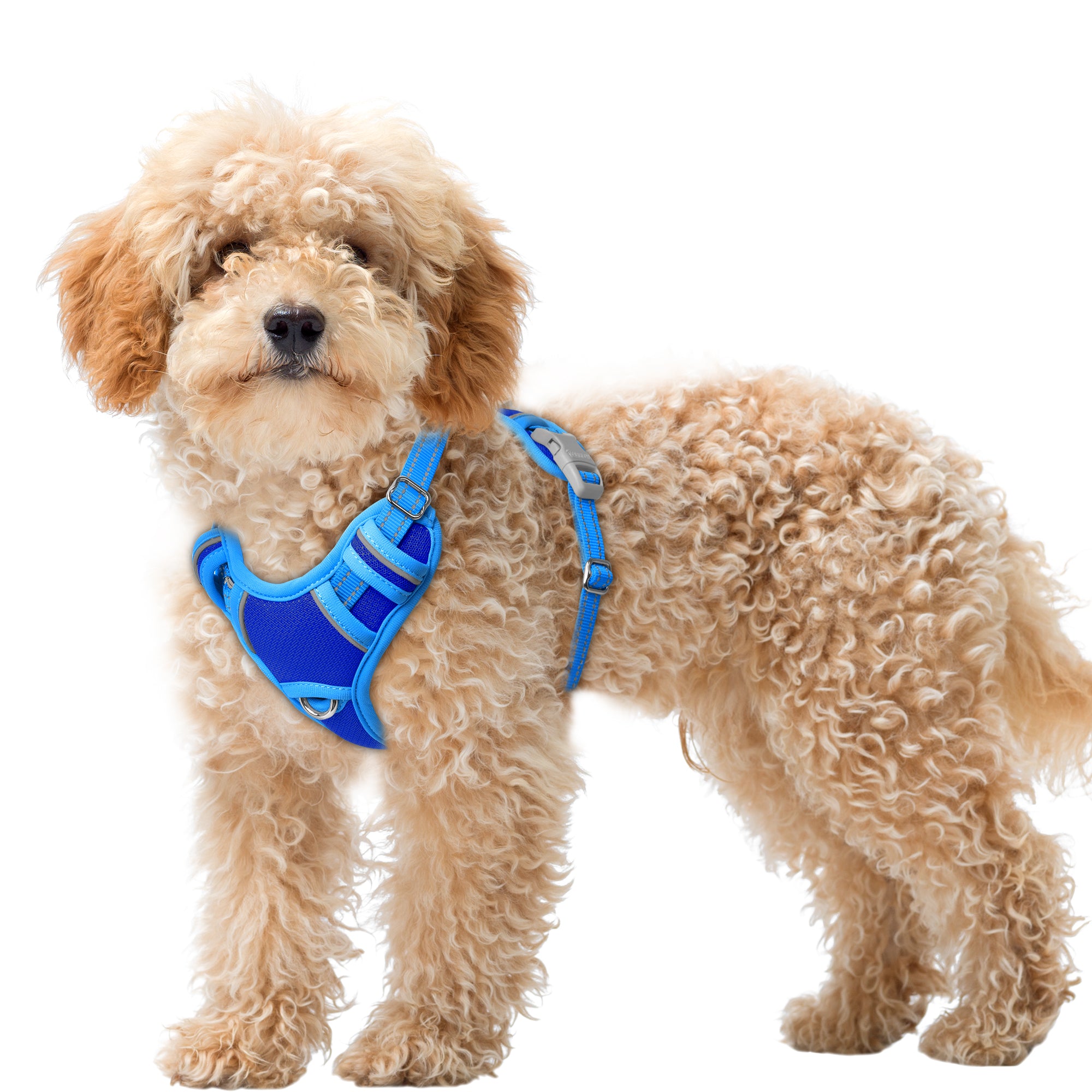 Air No Pull Dog Harness