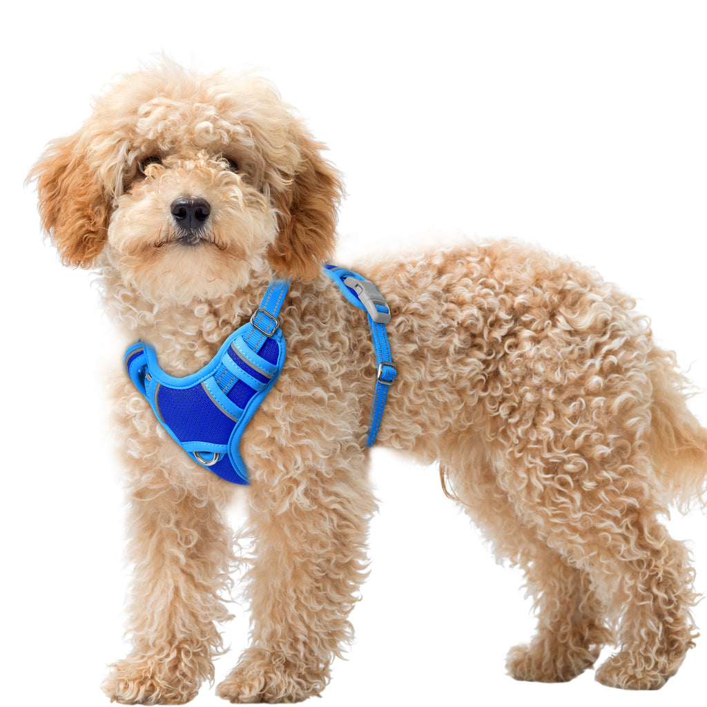 Air No Pull Dog Harness