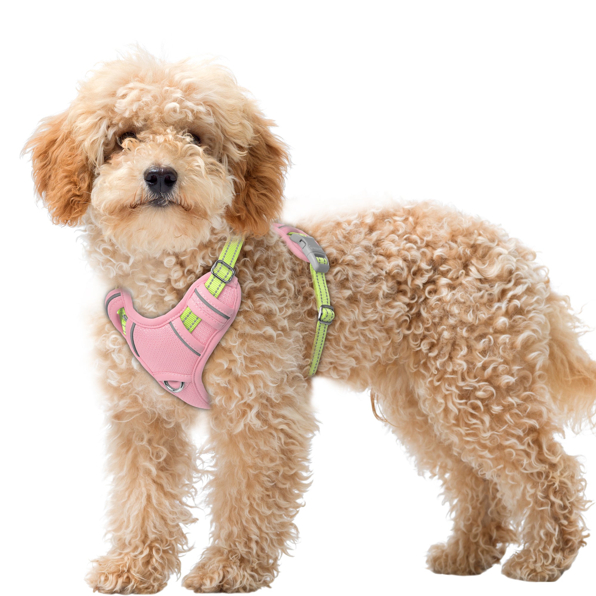 Air No Pull Dog Harness