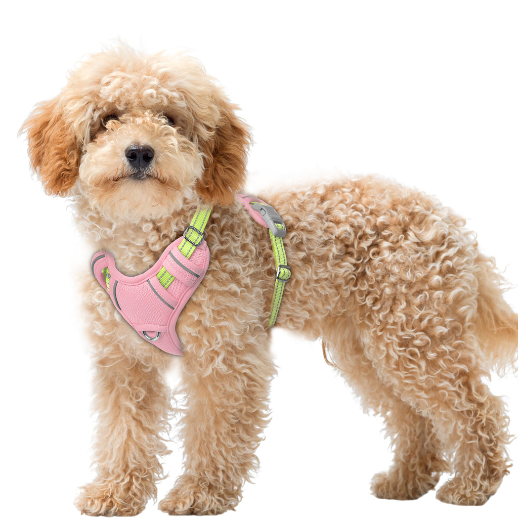 Air No Pull Dog Harness