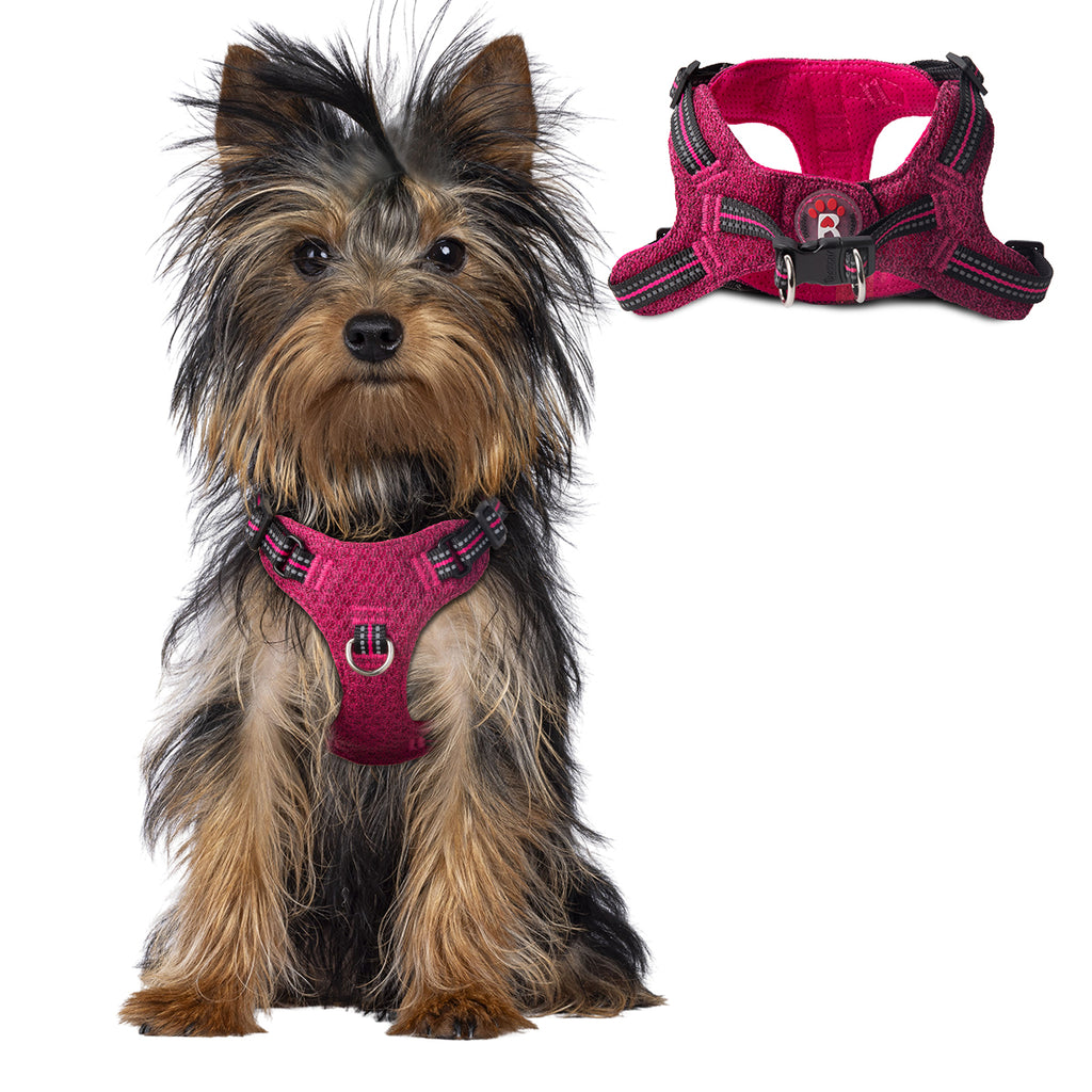 Step-in Mesh Dog Harness