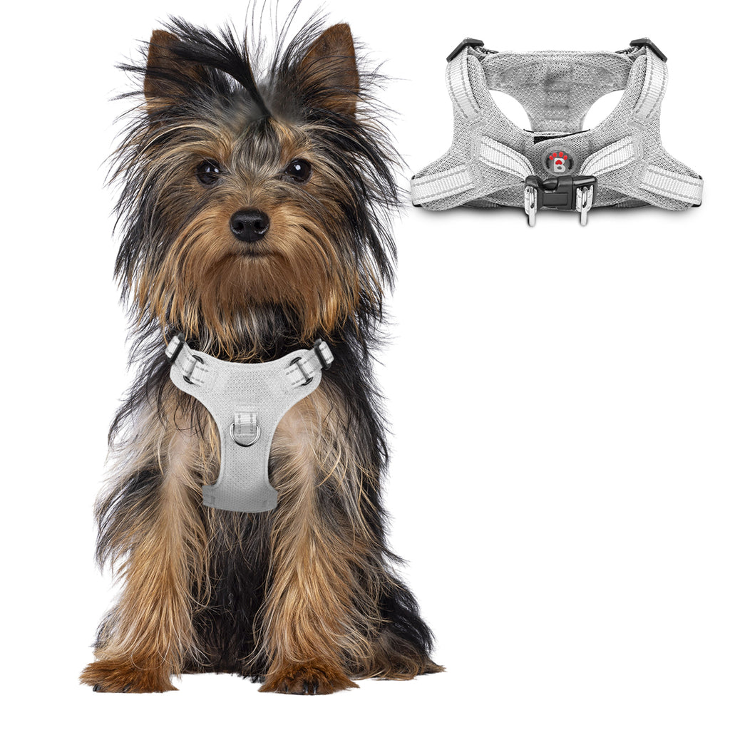 Step-in Mesh Dog Harness