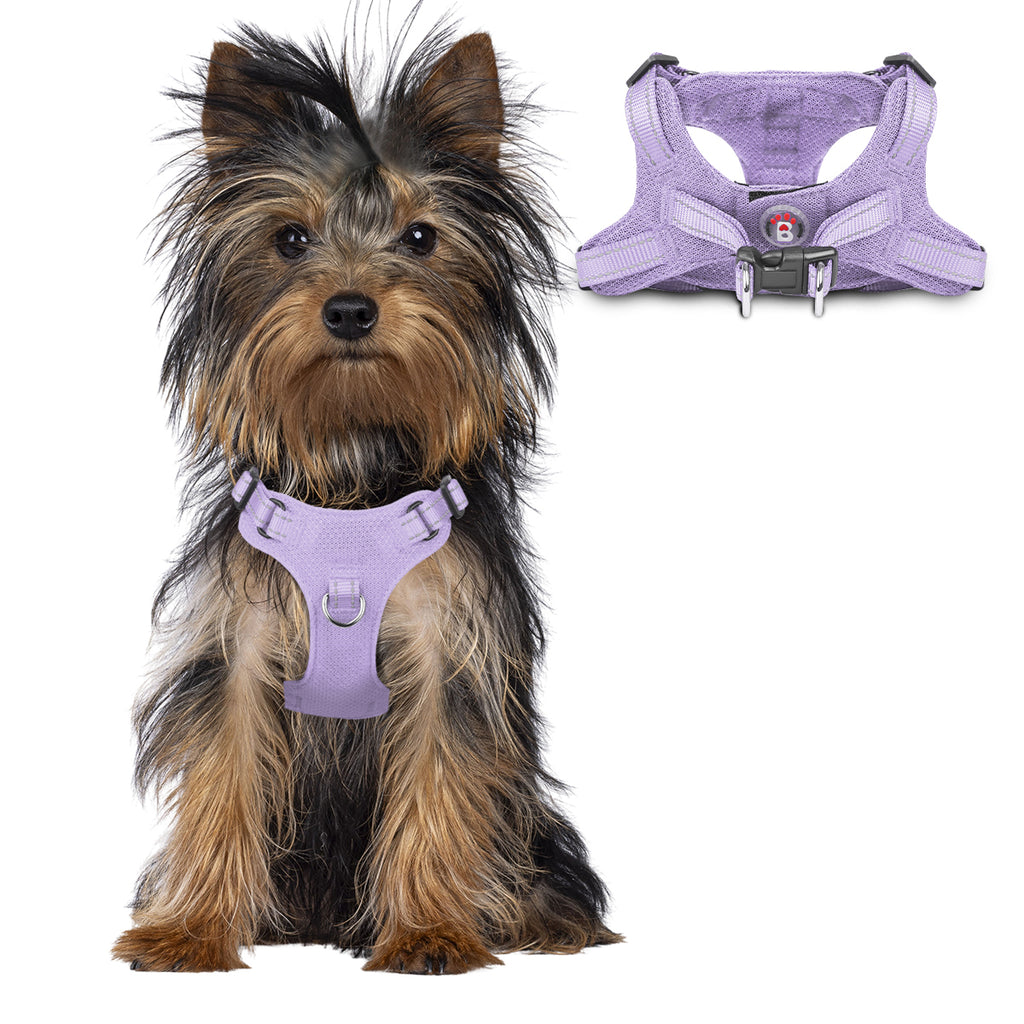 Step-in Mesh Dog Harness