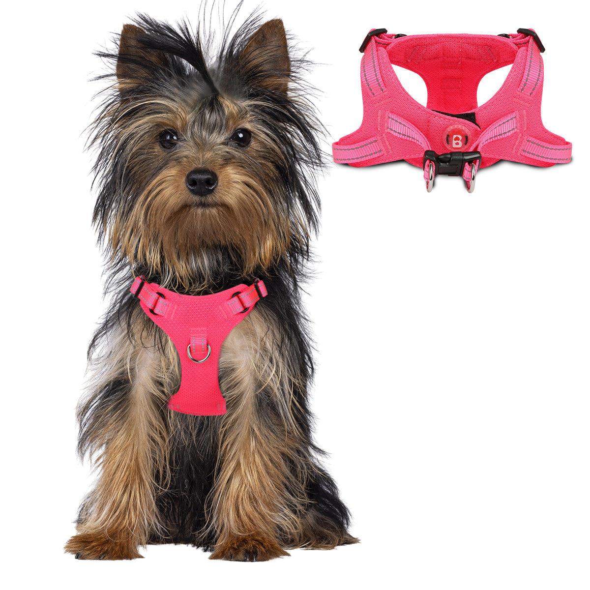 Step-in Mesh Dog Harness