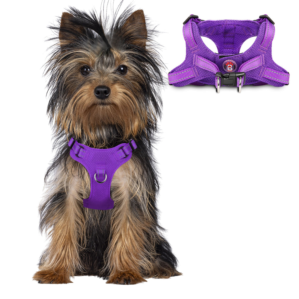 Step-in Mesh Dog Harness