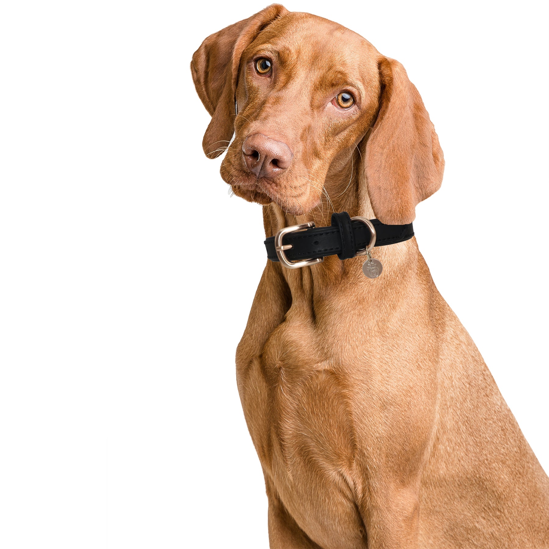 BARKBAY Soft Touch Genuine Leather Collar Luxury Real Leather Collar for Large Dog