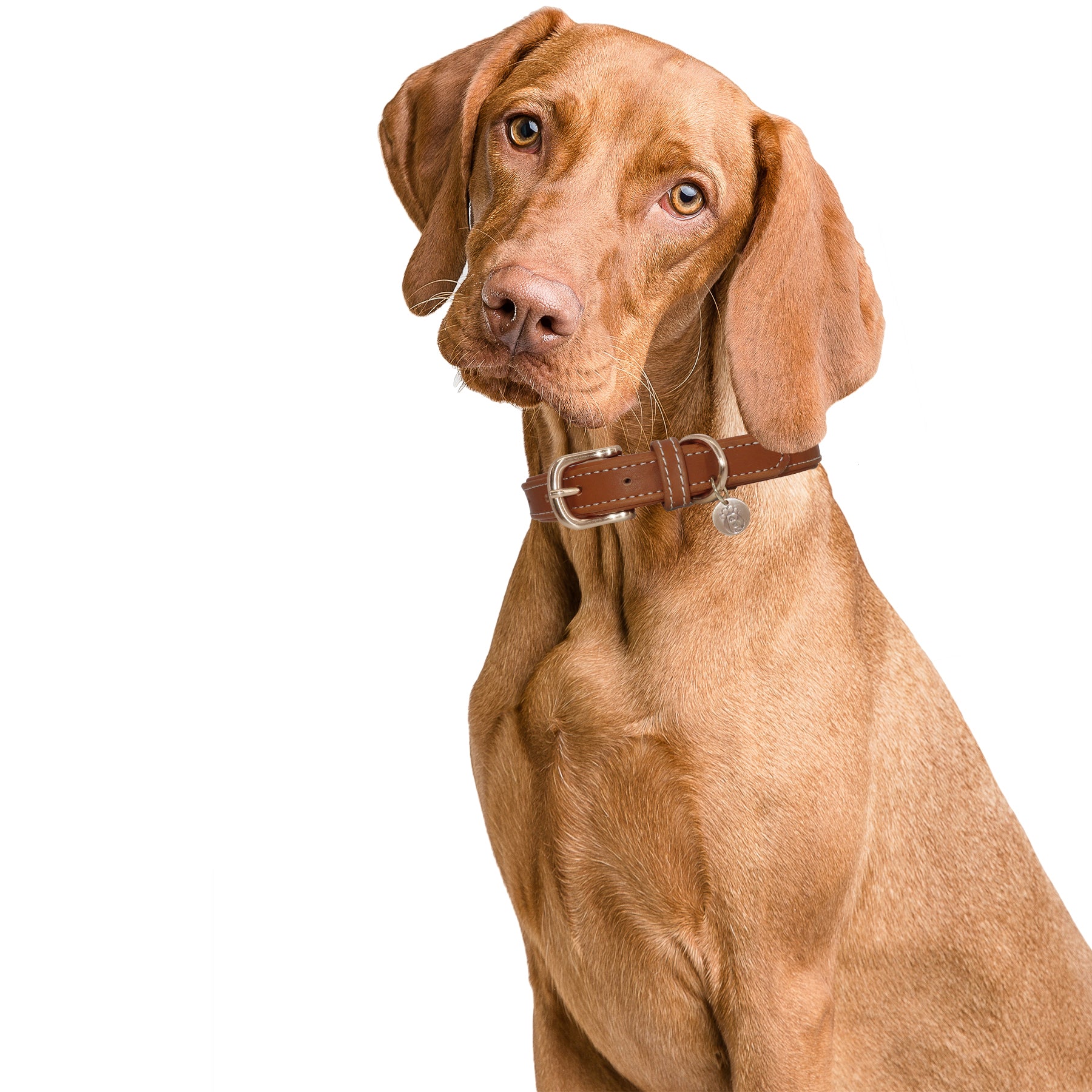 BARKBAY Soft Touch Genuine Leather Collar Luxury Real Leather Collar for Large Dog