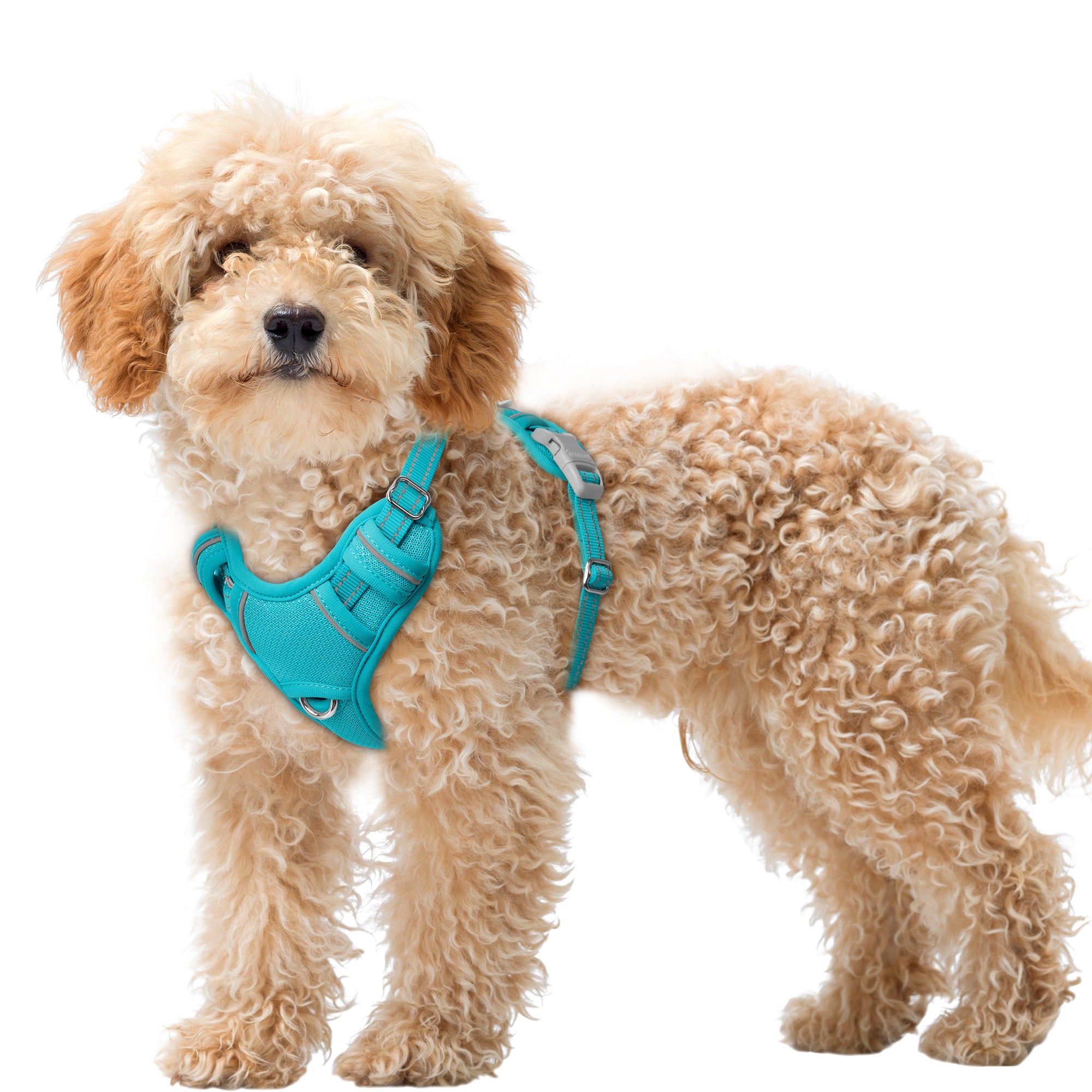 Air No Pull Dog Harness