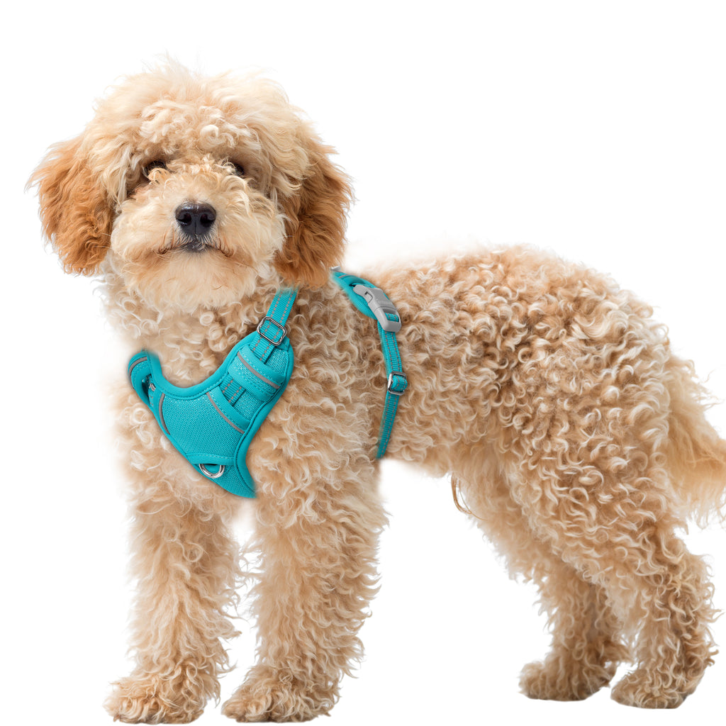 Air No Pull Dog Harness