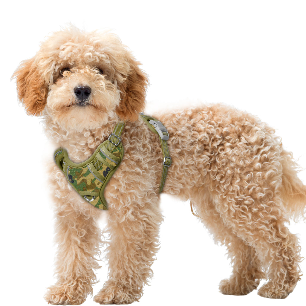 Air No Pull Dog Harness with Patterns