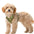 Air No Pull Dog Harness with Patterns
