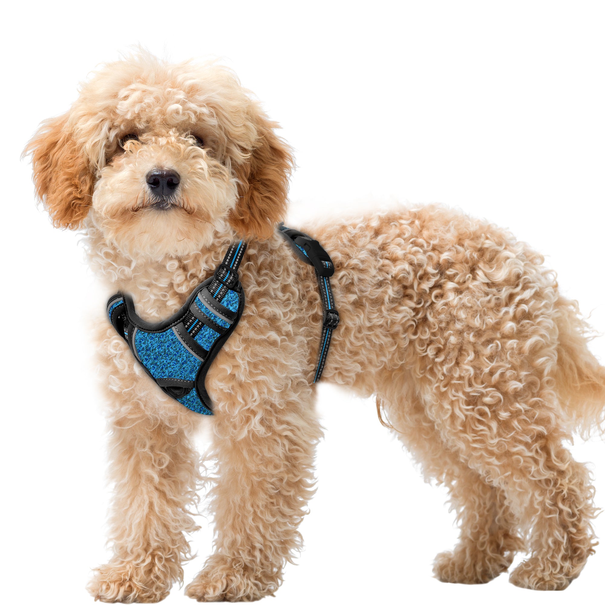 Air No Pull Dog Harness with Patterns