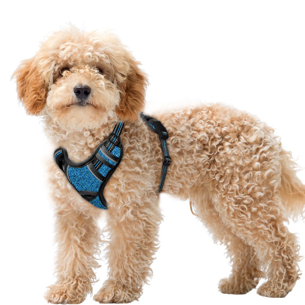 Air No Pull Dog Harness with Patterns