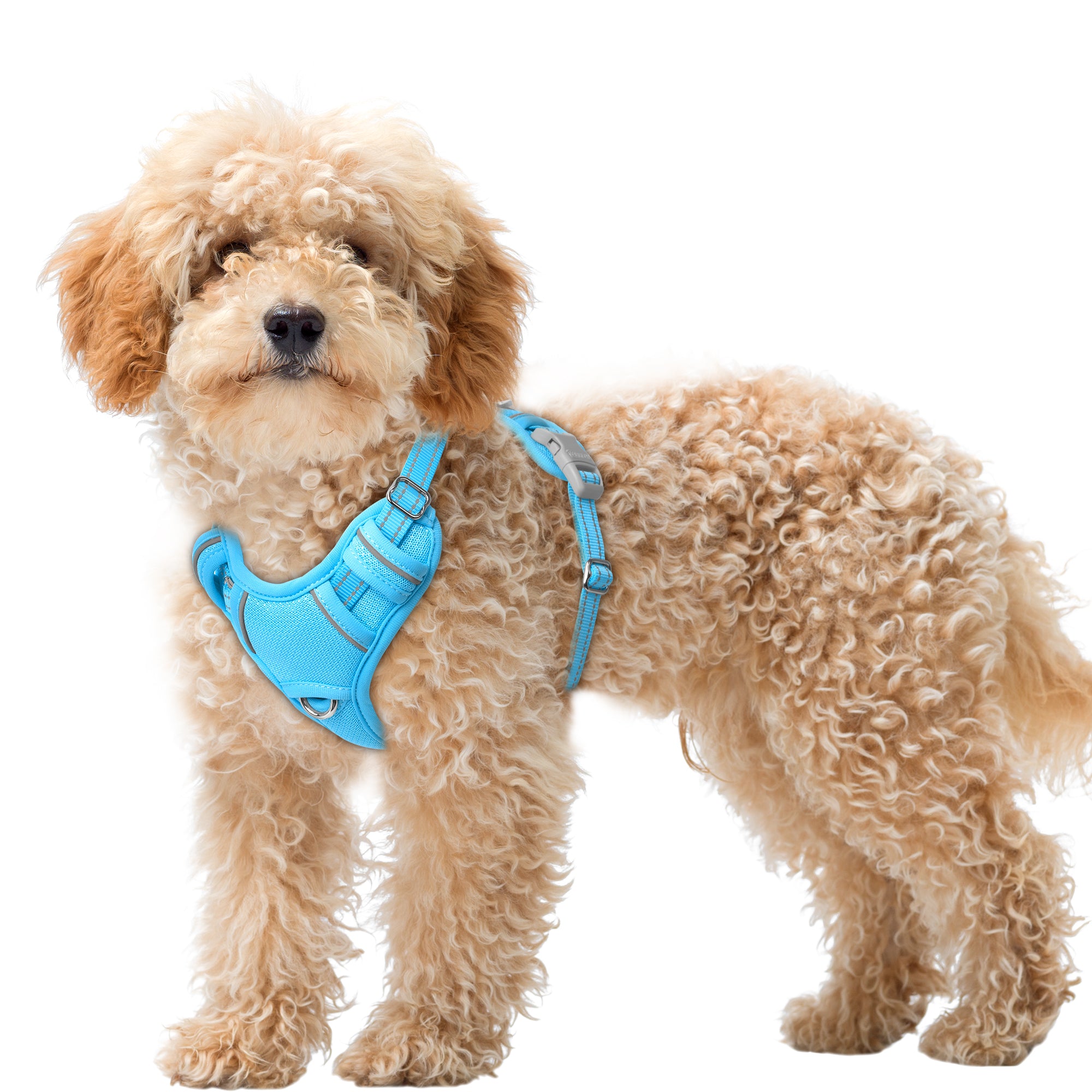 Air No Pull Dog Harness