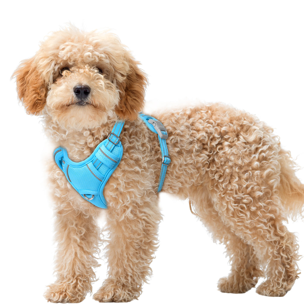 Air No Pull Dog Harness