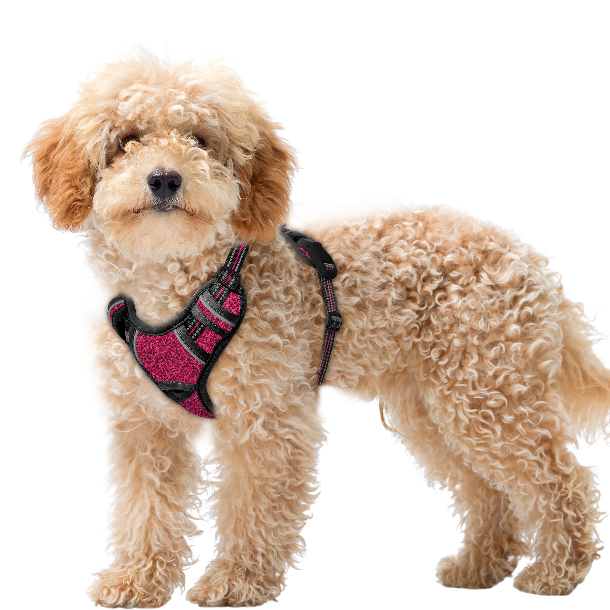 Air No Pull Dog Harness with Patterns
