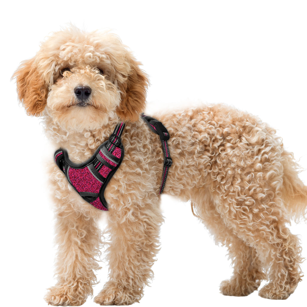 Air No Pull Dog Harness with Patterns
