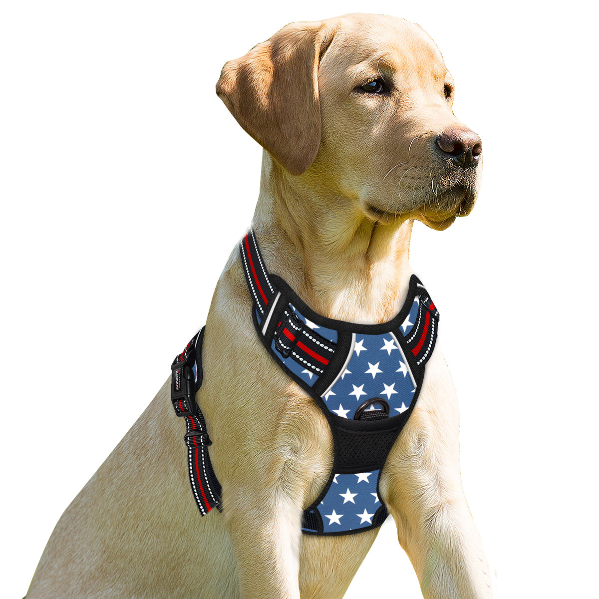 NoPullGuard Dog Harness with Patterns