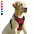 BARKBAY No Pull Dog Harness Front Clip Heavy Duty Reflective