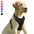 BARKBAY No Pull Dog Harness Front Clip Heavy Duty Reflective