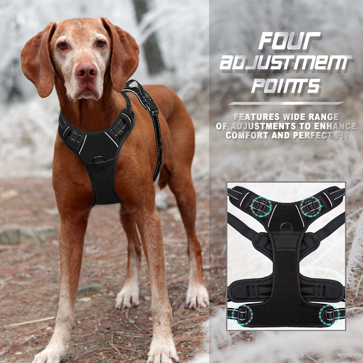 NoPullGuard Dog Harness