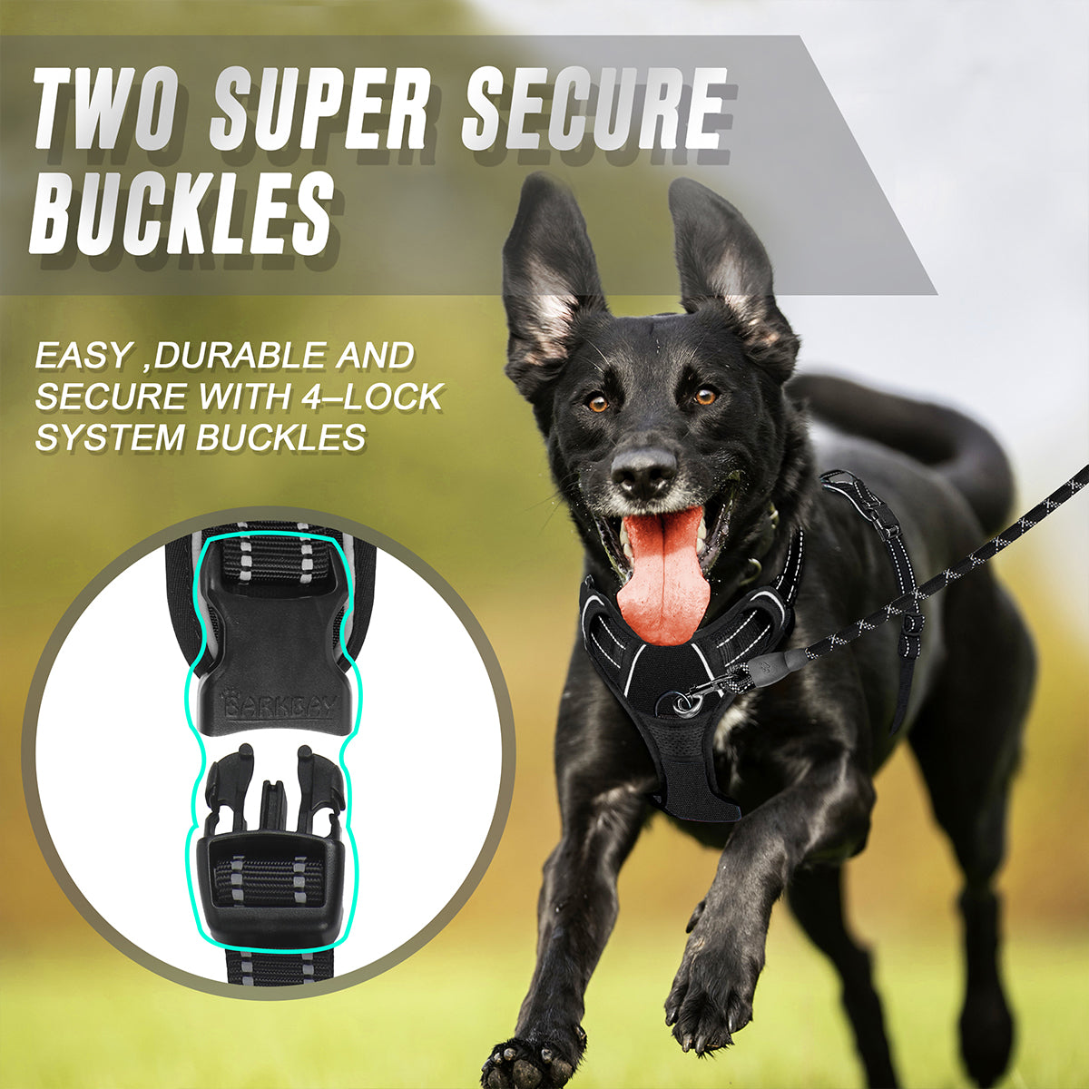 NoPullGuard Dog Harness