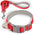 BARKBAY Reflective Dog Collar with Leash