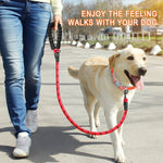 5 Feet Reflective Dog Rope Leash with Comfortable Padded Handle
