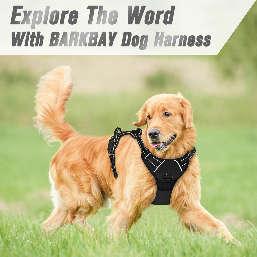 BARKBAY No Pull Dog Harness Front Clip Heavy Duty Reflective