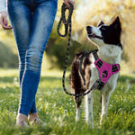 BARKBAY  Lightweight Dog Harness with 2 Leash Clips and ID Tag Pocket