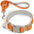 BARKBAY Reflective Dog Collar with Leash