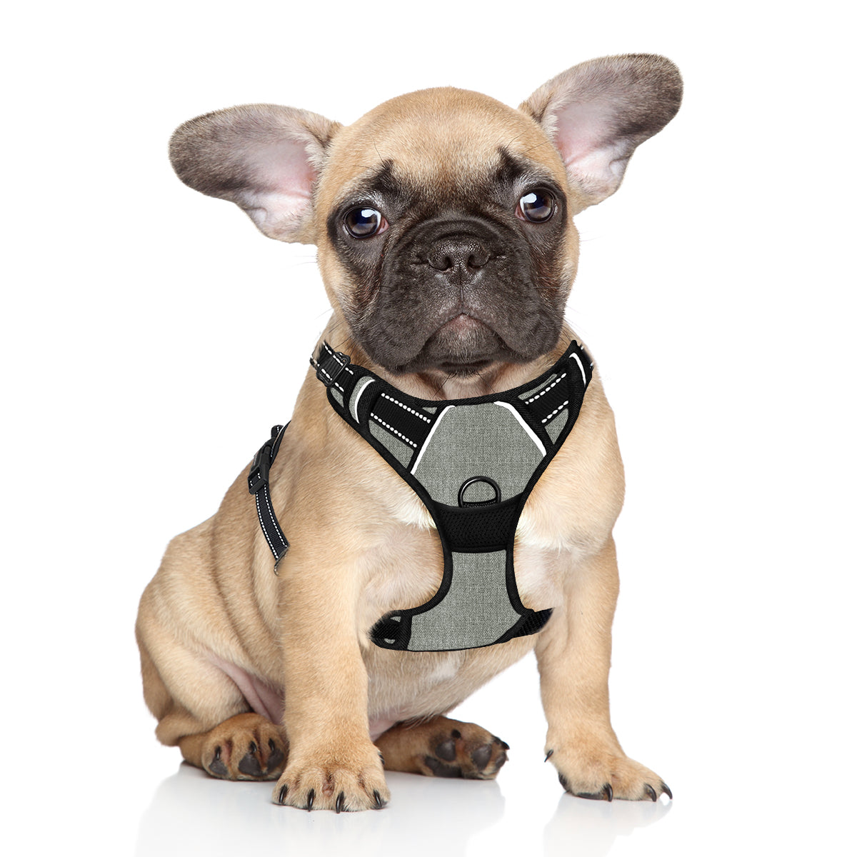 NoPull Adventure Dog Harness