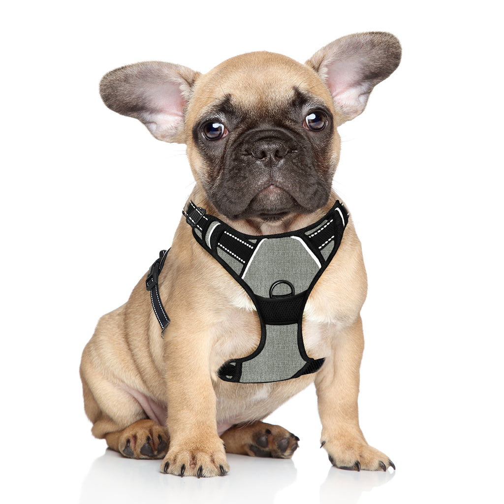 No-pull Dog Harness