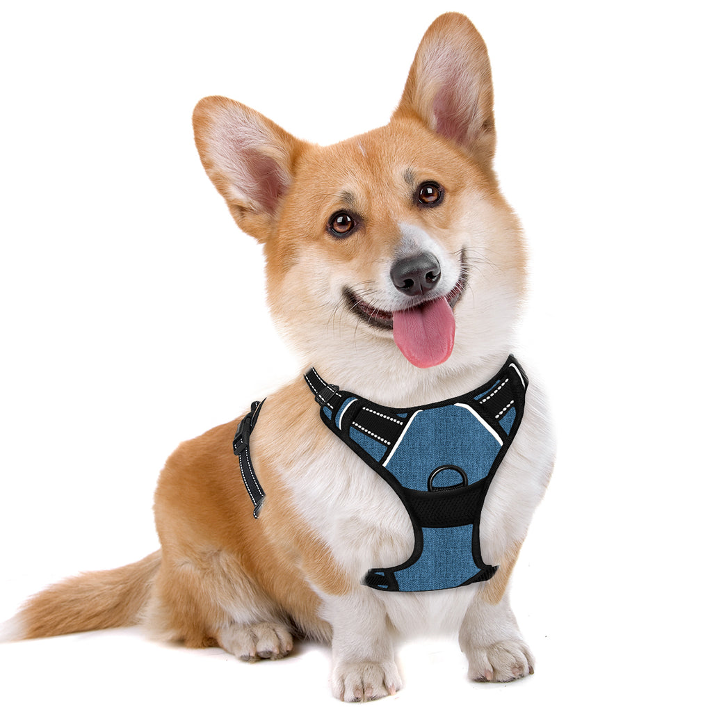 No-pull Dog Harness