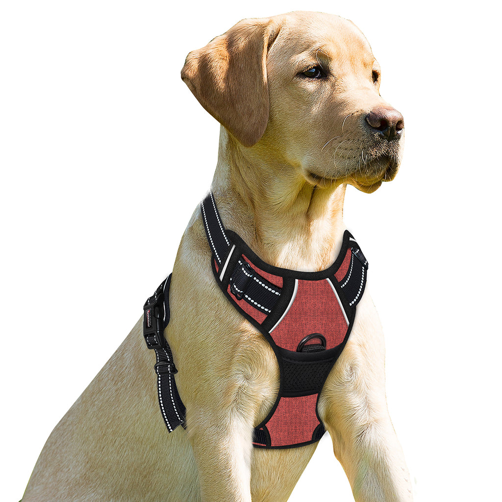 BARKBAY No Pull Dog Harness Front Clip Heavy Duty Reflective