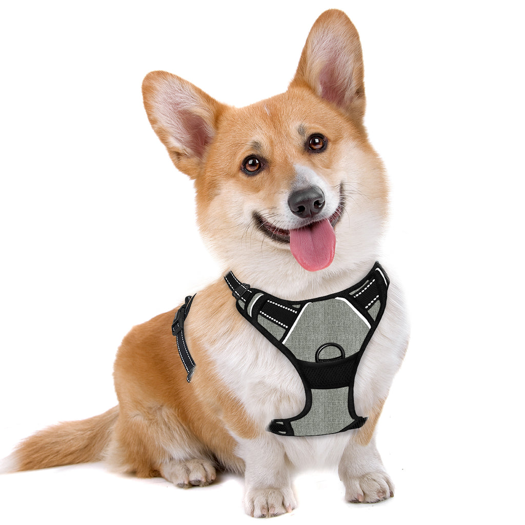 No-pull Dog Harness