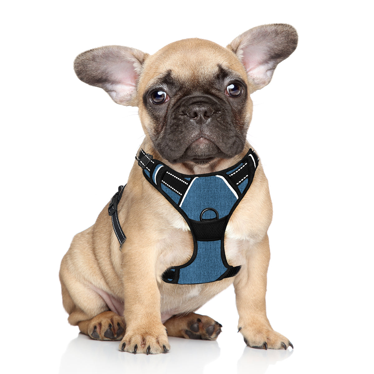 NoPull Adventure Dog Harness