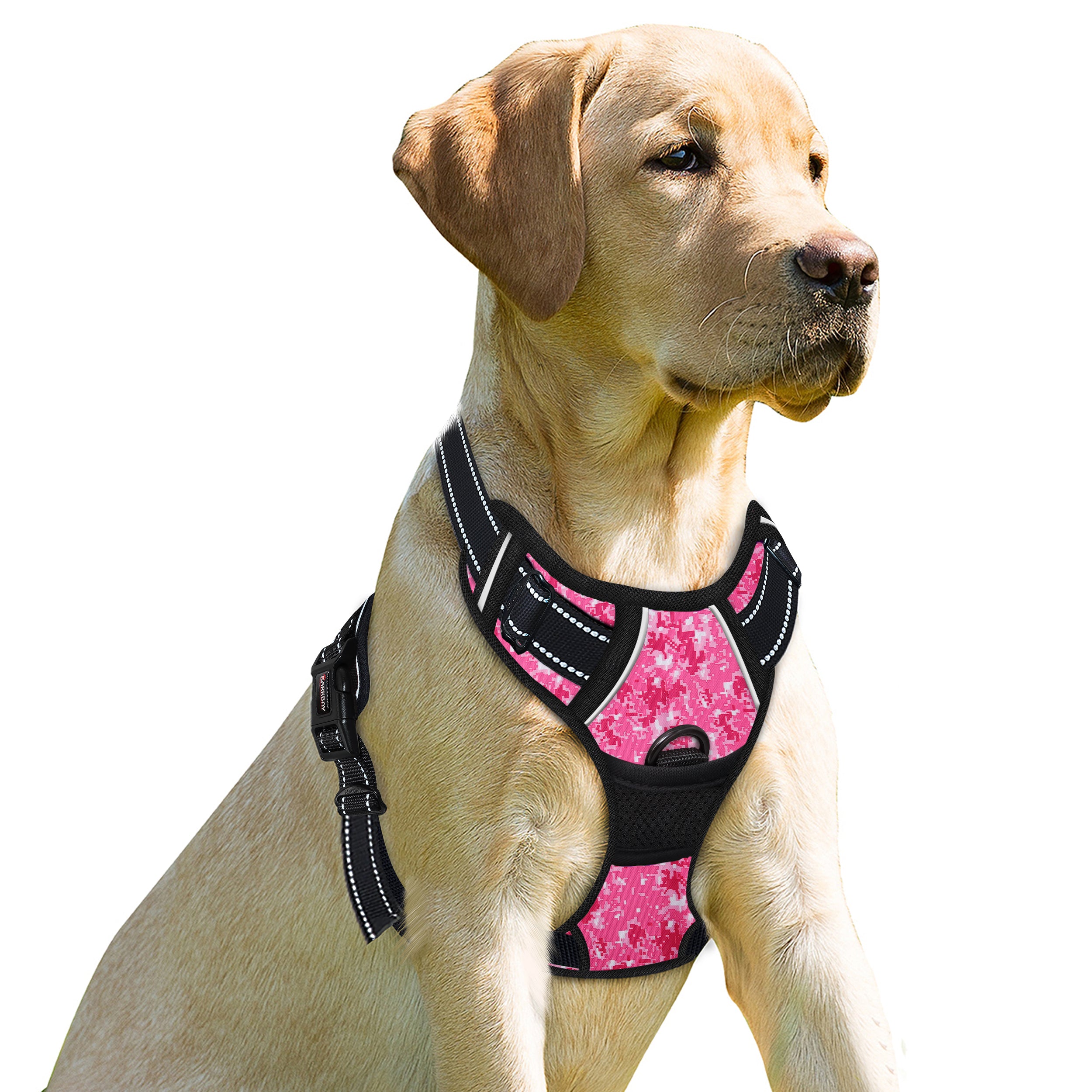 NoPullGuard Dog Harness with Patterns
