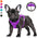 BARKBAY No Pull Reflective Dog Harness with Control Handle